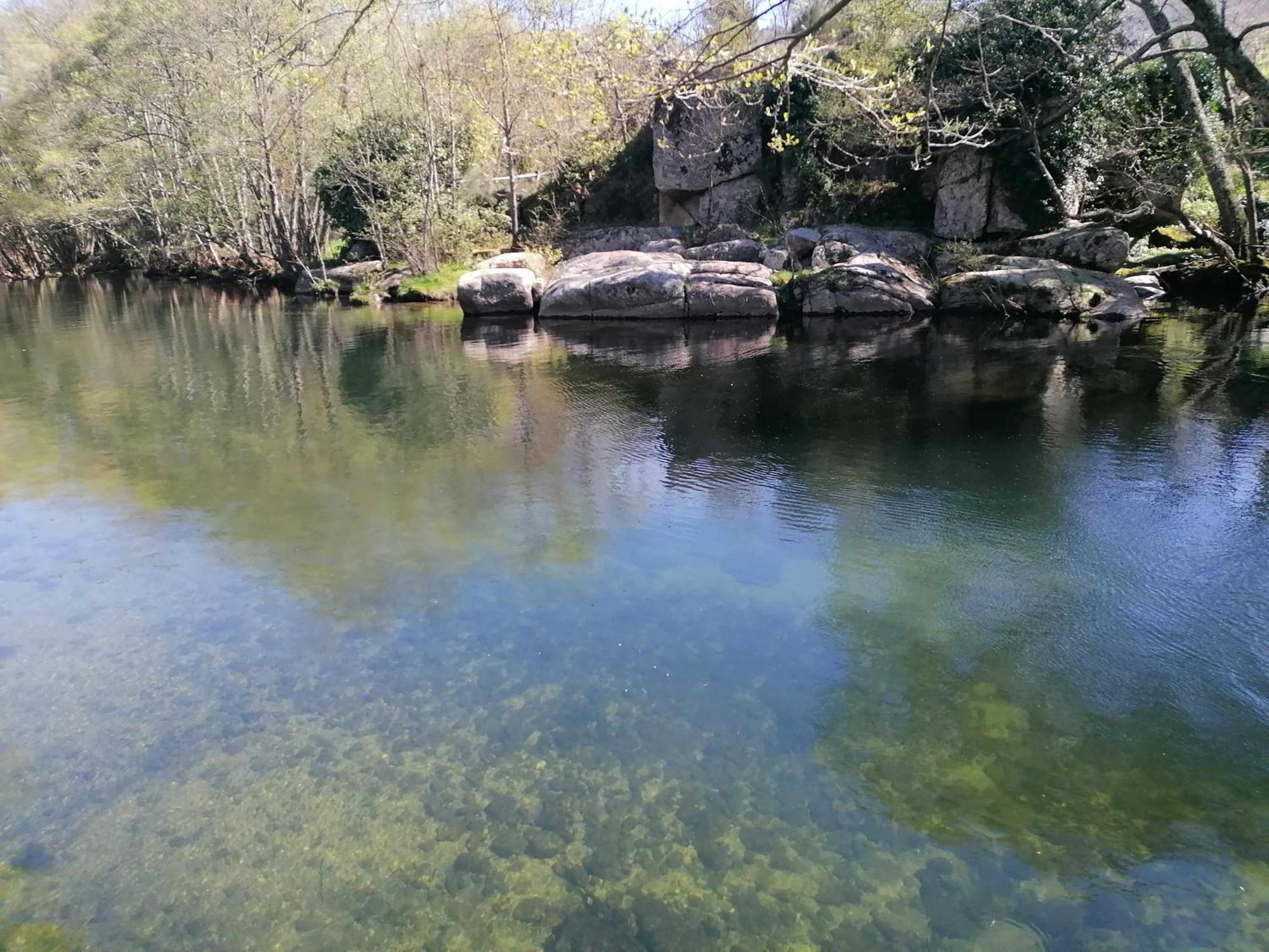 Quinta Do Moinho Turismo De Natureza Aldeia Vicosa Exterior foto
