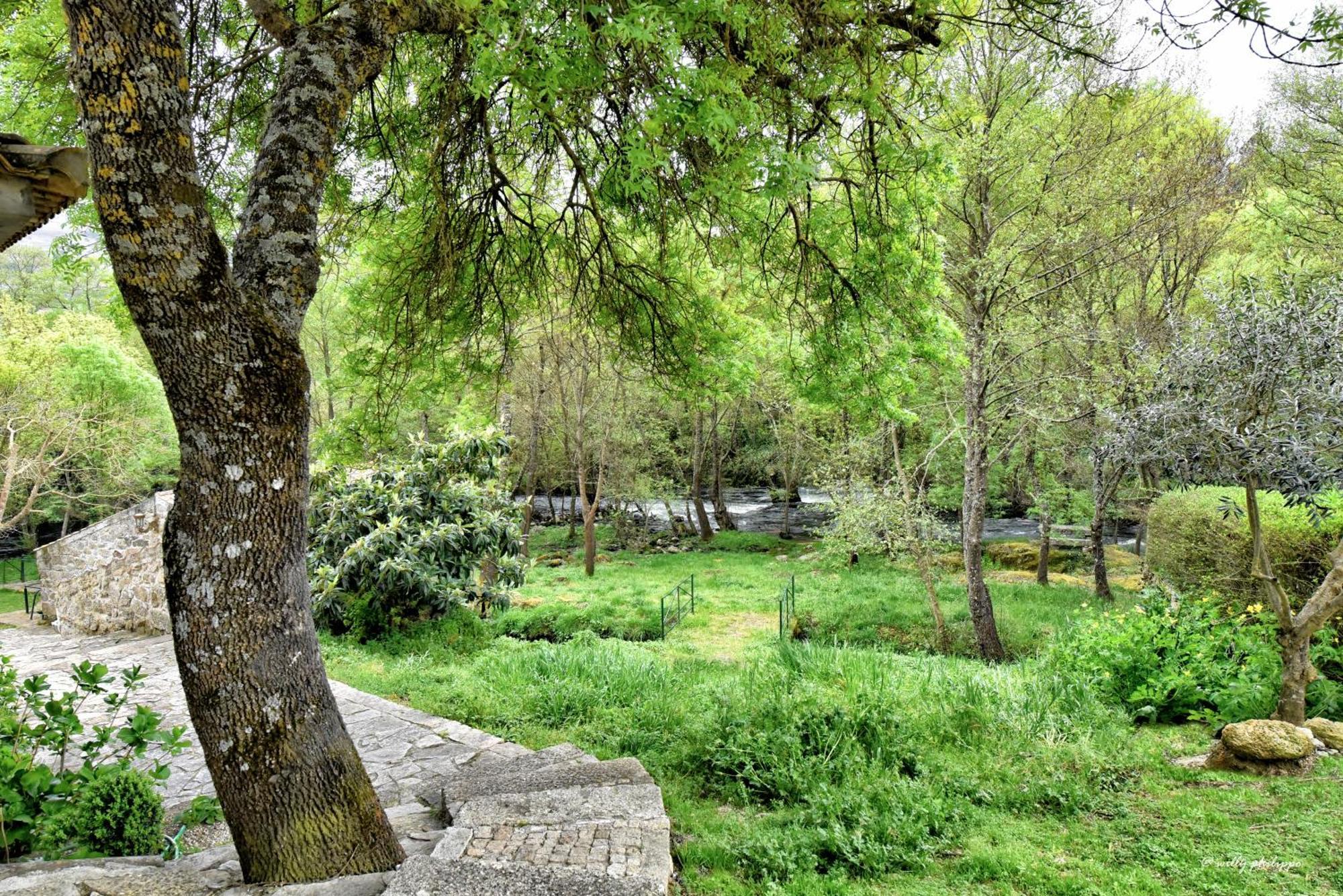 Quinta Do Moinho Turismo De Natureza Aldeia Vicosa Exterior foto